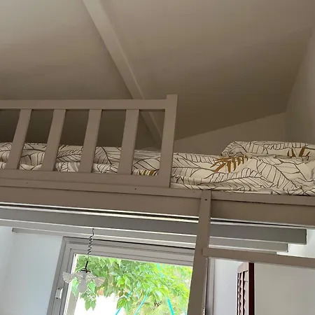 Mini De Saint Cyprien * Lecci