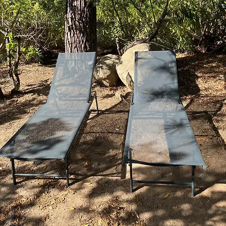 Mini De Saint Cyprien *